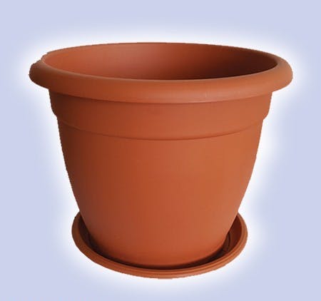 Flower Pot / የአበባ መትከያ